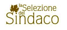 Selezione Del Sindaco