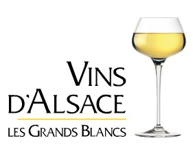 Vinidalsazia