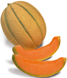 Melone tipico di San Matteo Decima