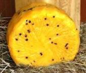Piacentinu