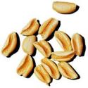 Cavatelli o Cecatelli