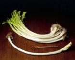 Porro dolce lungo di Carmagnola