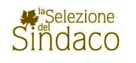 Selezione Del Sindaco