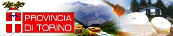 banner1