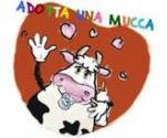 foto-top