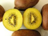 kiwi-giallo