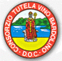 logo_home