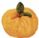Pompìa