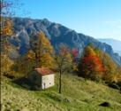 val-taleggio