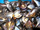 Impepata di cozze (a ‘mpepata e cozze)