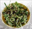 Puntarelle in insalata