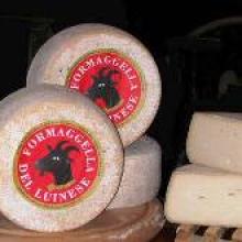 Formaggella del Luinese D.O.P.