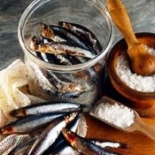Acciuga sotto sale del mar Ligure IGP